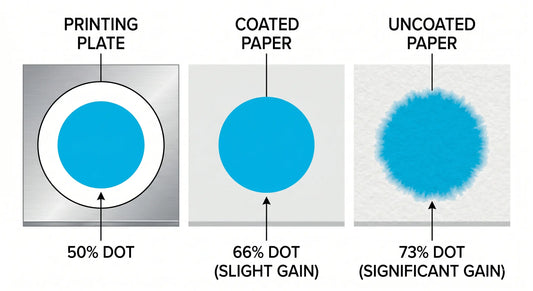 What Is Dot Gain in Printing? Causes, Types & How to Fix It